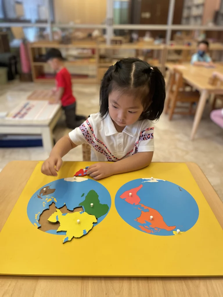 MLI Kid with Montessori Materials - World Map Puzzles