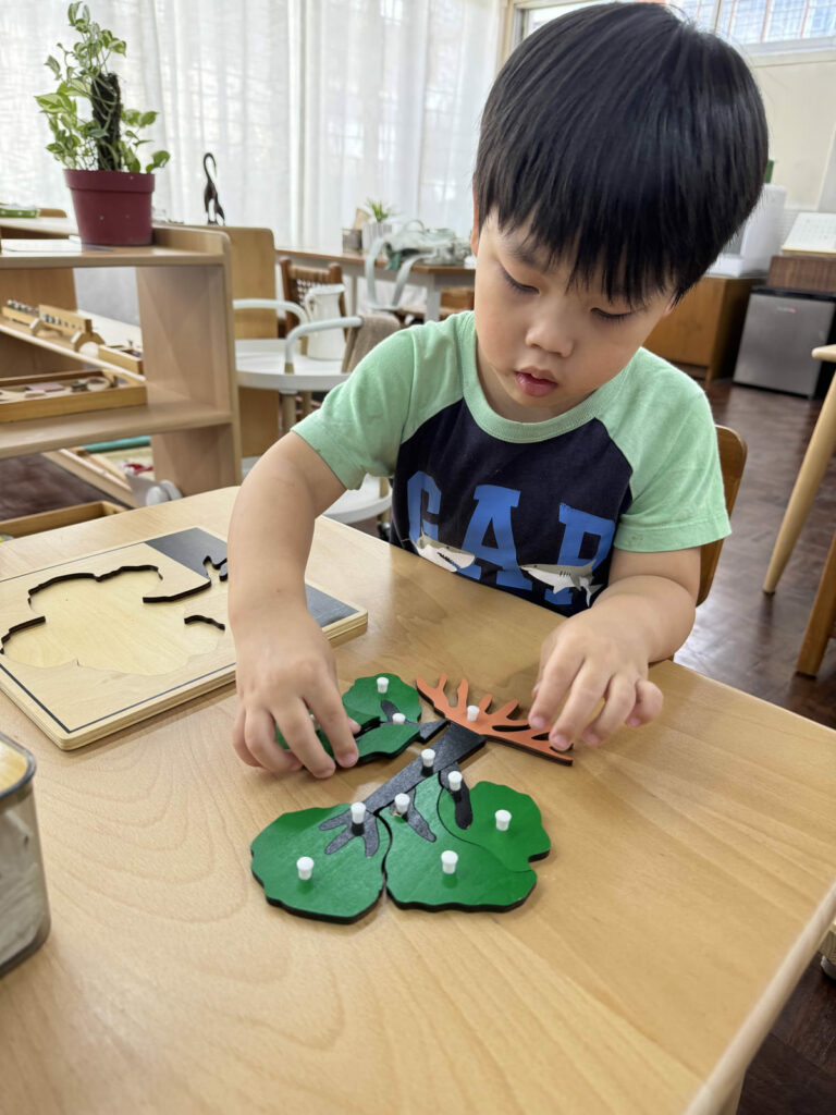 MLI kid playing tree puzzle MLI kid playing tree puzzle