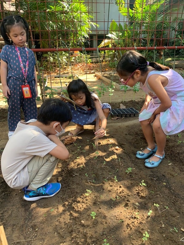 MLI kid farming MLI kid farming