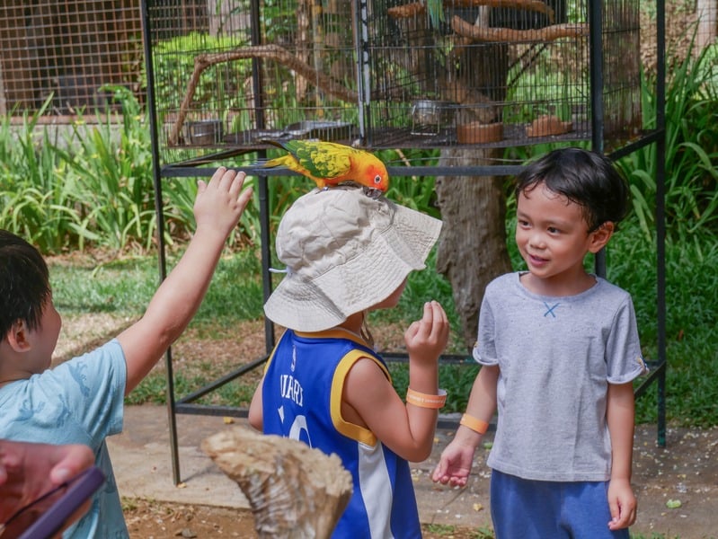 MLI kids with parrot MLI kids with parrot
